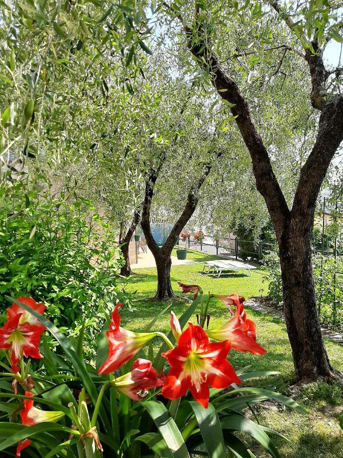 Apartment Maria Brenzone sul Garda Esterno foto
