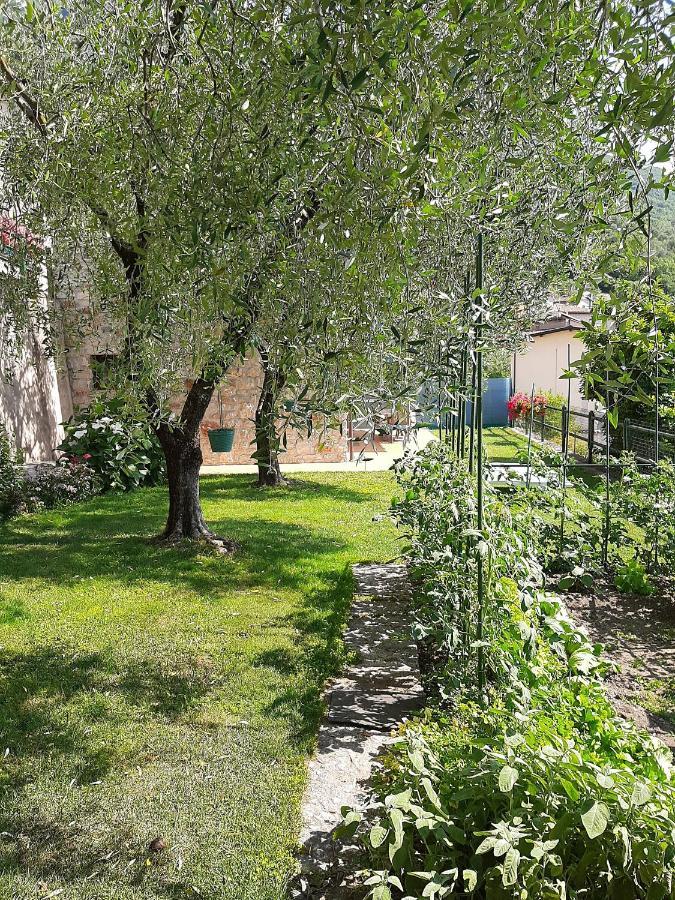 Apartment Maria Brenzone sul Garda Esterno foto